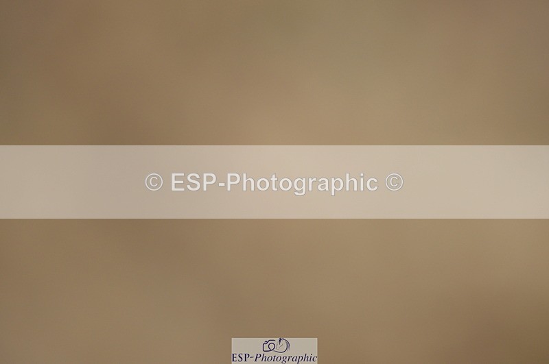 230916A-111828-03686 - Cls 21 British Novice & 90cm Open