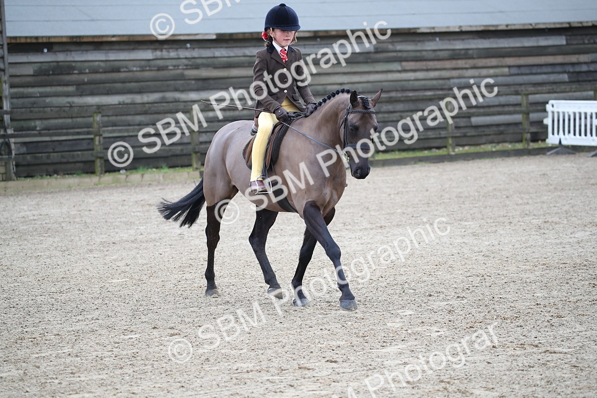 SBM_004616 - Class 5-9 - NPS In Hand-Show Hunter-Intermediate Ridden Inc Ridden Championship