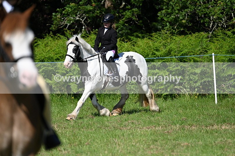 WJ7_0521 - Class 8 First Rally Pony