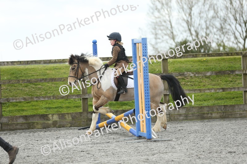 20260412-0636 - Show Jumping