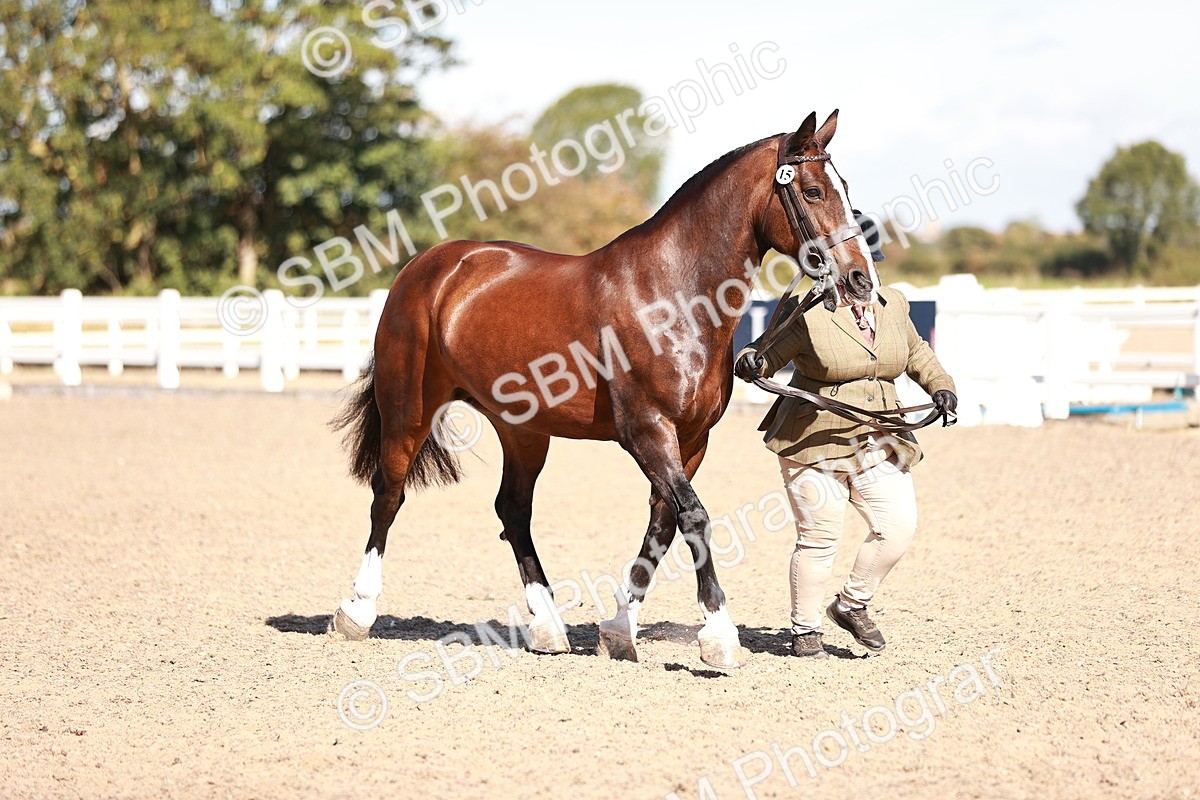 SBM_13228 - Class 405 - IH Show Cob