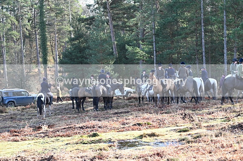 WJ7_7436 - Line 3 (no line 4 or 5)