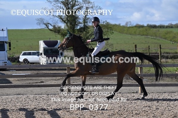 BPP_0377 - CLASS 22 SUN Senior Newcomers/ 1.10m Open