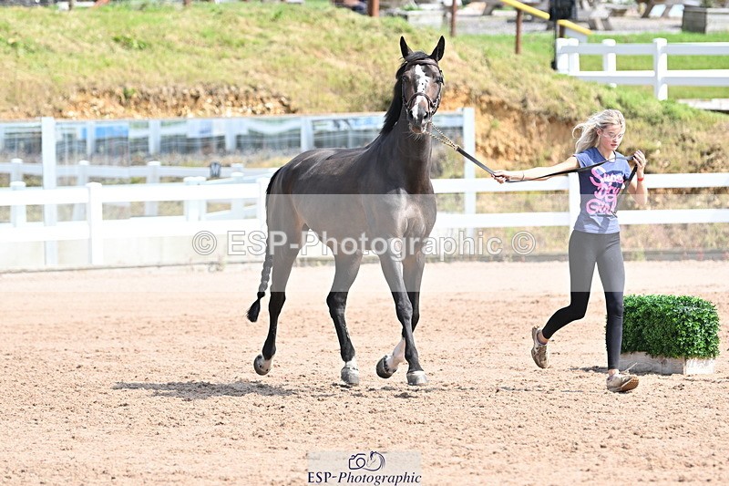 240717A-154214-02989 - Trot Up 3pm to 4pm