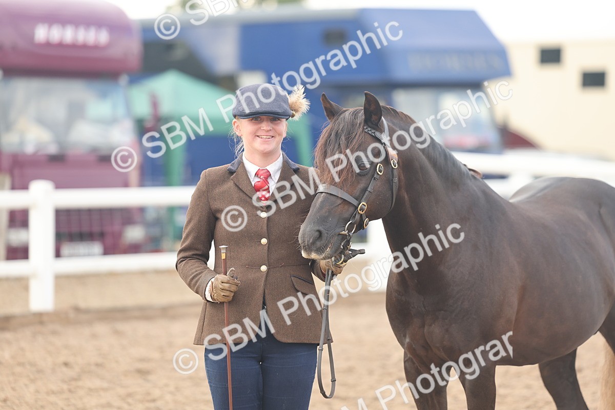 SBM_08512 - Class 29 - IH Veteran Pony