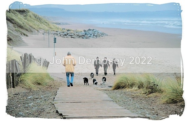 New Year's Walk - Walking the Dog