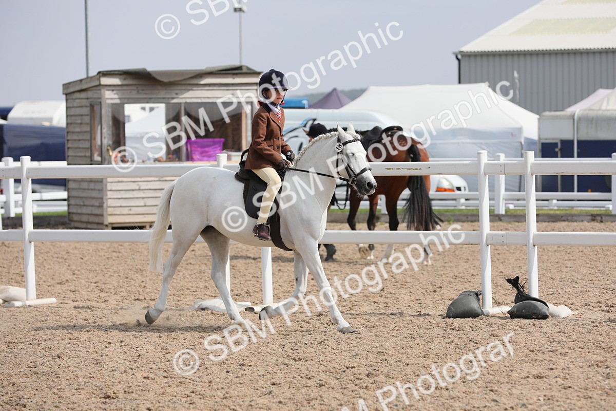 SBM_14707 - Class 310 First Ridden Pony