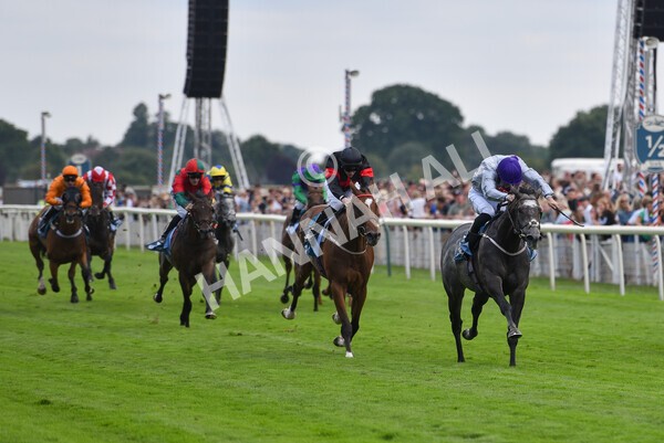yr23072022r6-30 - Race 6 5.00pm Sky Bet Partnership with Support Dogs Stakes