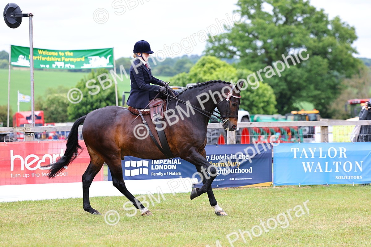 SBM_02933 - Class 9-11 Side Saddle including LIHS Rising Star Ladies Show Horse