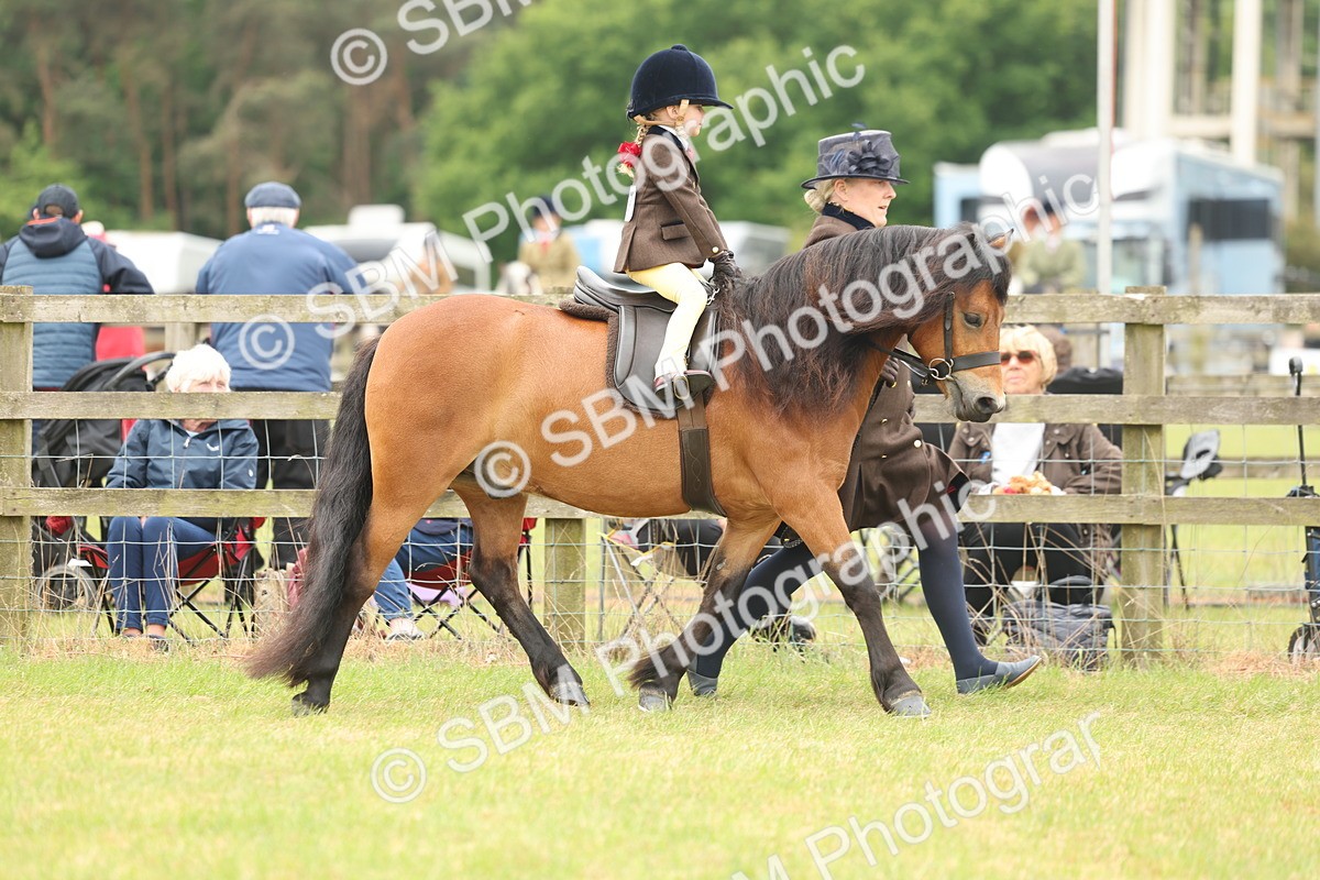 SBM_06718 - Class 74-75 - M&M Lead Rein and First Ridden Pony