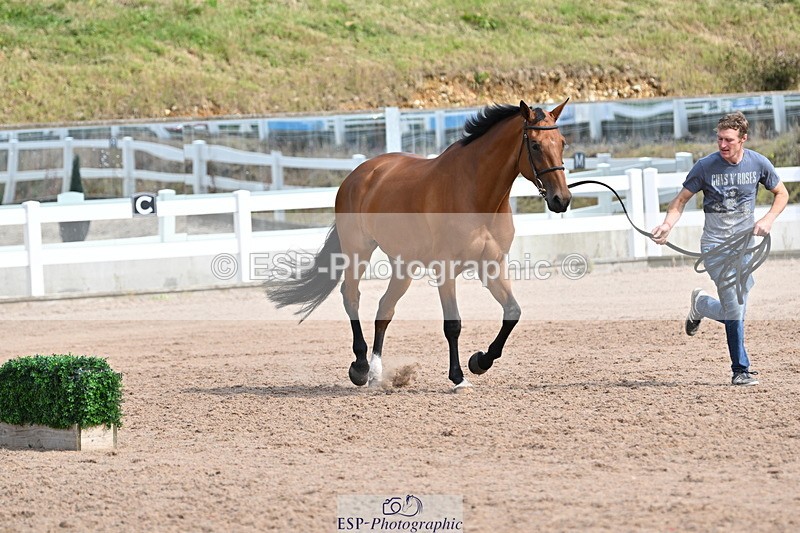 240717A-161437-03368 - Trot Up 4pm to 5pm