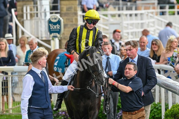 310525-Race 6-Dantes Lad-9018 - Race 6 4.25pm Royal Yorkshire Regiment Handicap