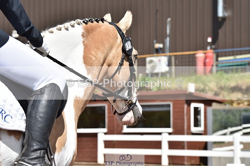 240706A-145814-03354 - Cls 4C Snr Novice 23