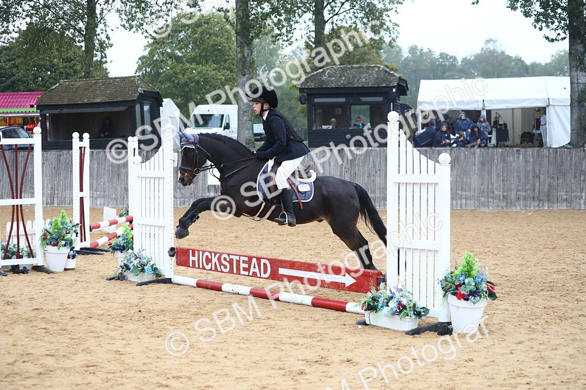 SBM_71791 - J4 - Mini Tour Junior Pony 45cm Championship