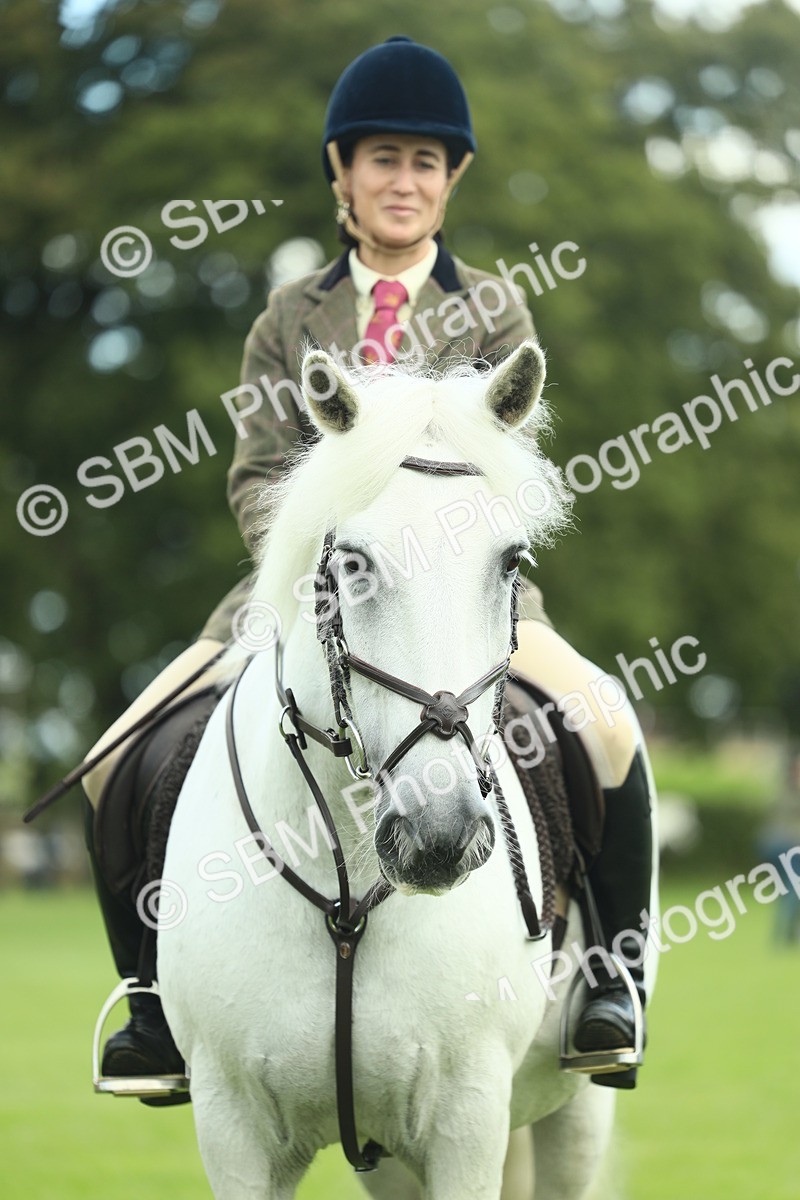 SBM_42171 - S29 - Novice & Newcomers Working Hunter Pony