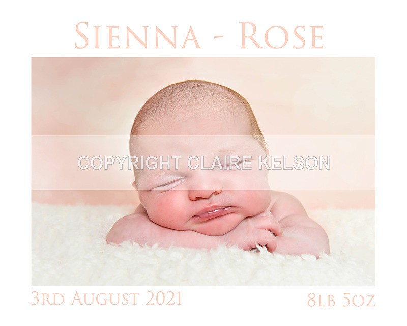 sienna collage 3 - Pregnancy and New Baby