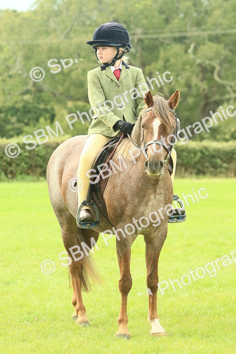 SBM_69976 - S59 - Mountain & Moorland Ridden Small Breeds
