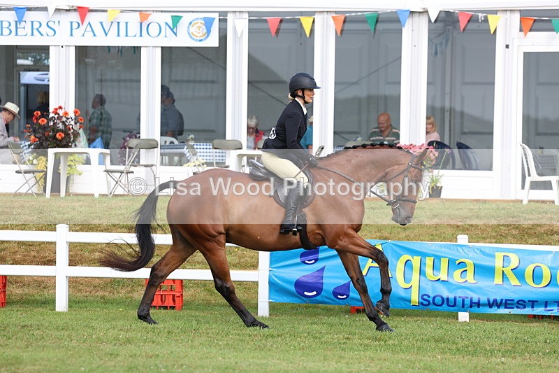 3E7A8139 - Class 2: Rising Star Large Hack/Riding Horse