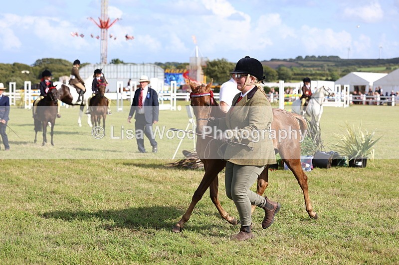 3E7A3900 - Supreme Championship