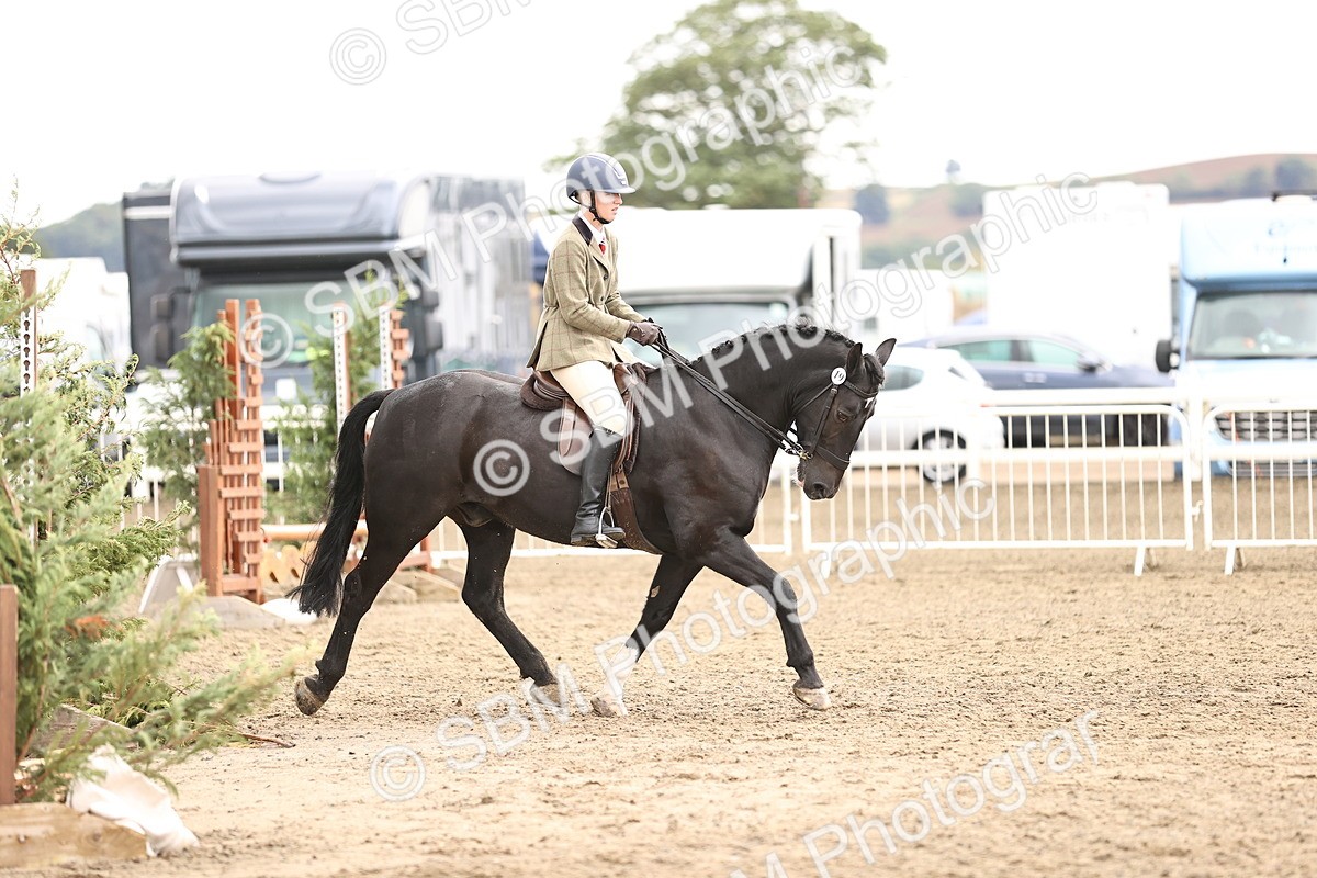 SBM_00655 - Class 53 - Ridden Competition Horse Pony