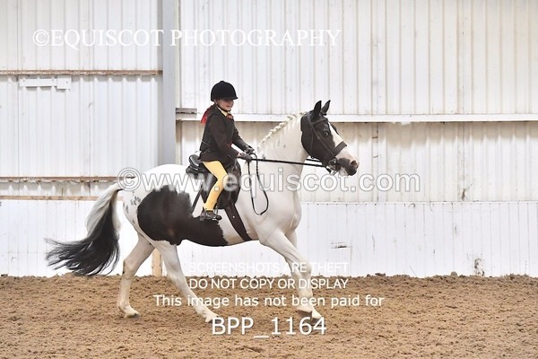 BPP_1164 - RING 2