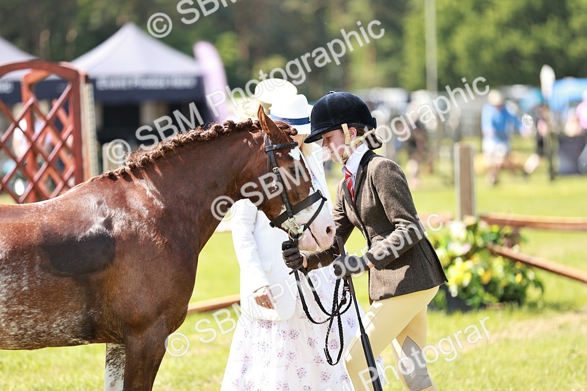 SBM_15560 - Class 108-109 - BSPS LIHS Open Gradle & Nursery Stakes