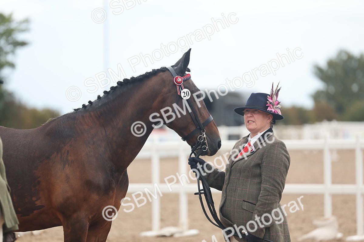 SBM_07819 - Class 27 - IH Competition Horse/Pony