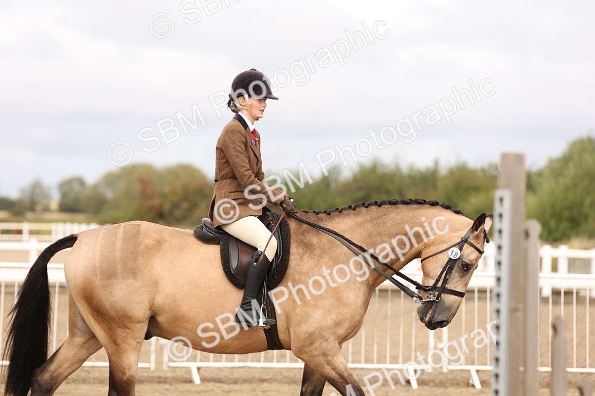 SBM_01588 - Class 52 - Ridden Veteran