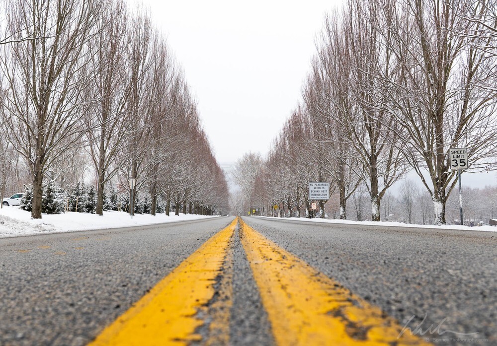 DSC_8192 - Roads