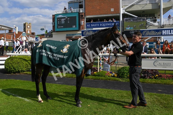 270523-Race 6-Quantum Impact-0415 - Race 6 4.25pm Royal Yorkshire Regiment Handicap