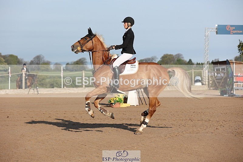 250427-083006-14493 - Cls 28 Young Horse 5yr old