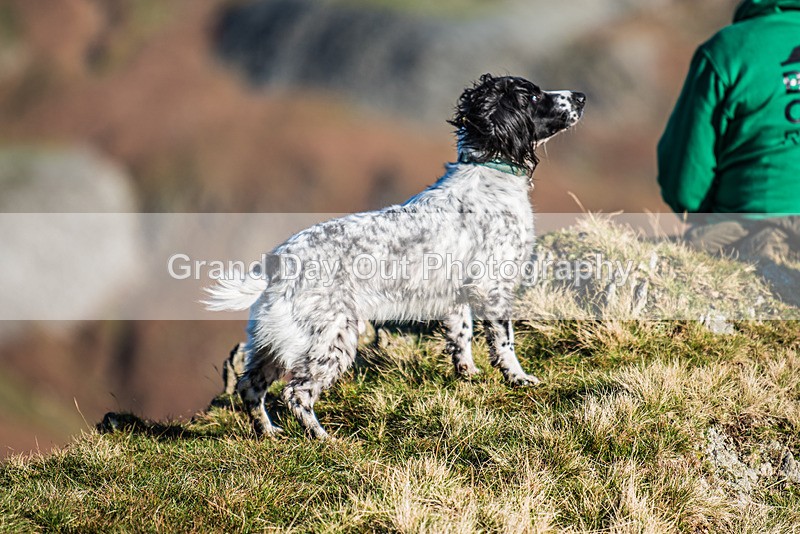 Dunnerdale-4 - Dunnerdale Fell Race Saturday 11th November 2023