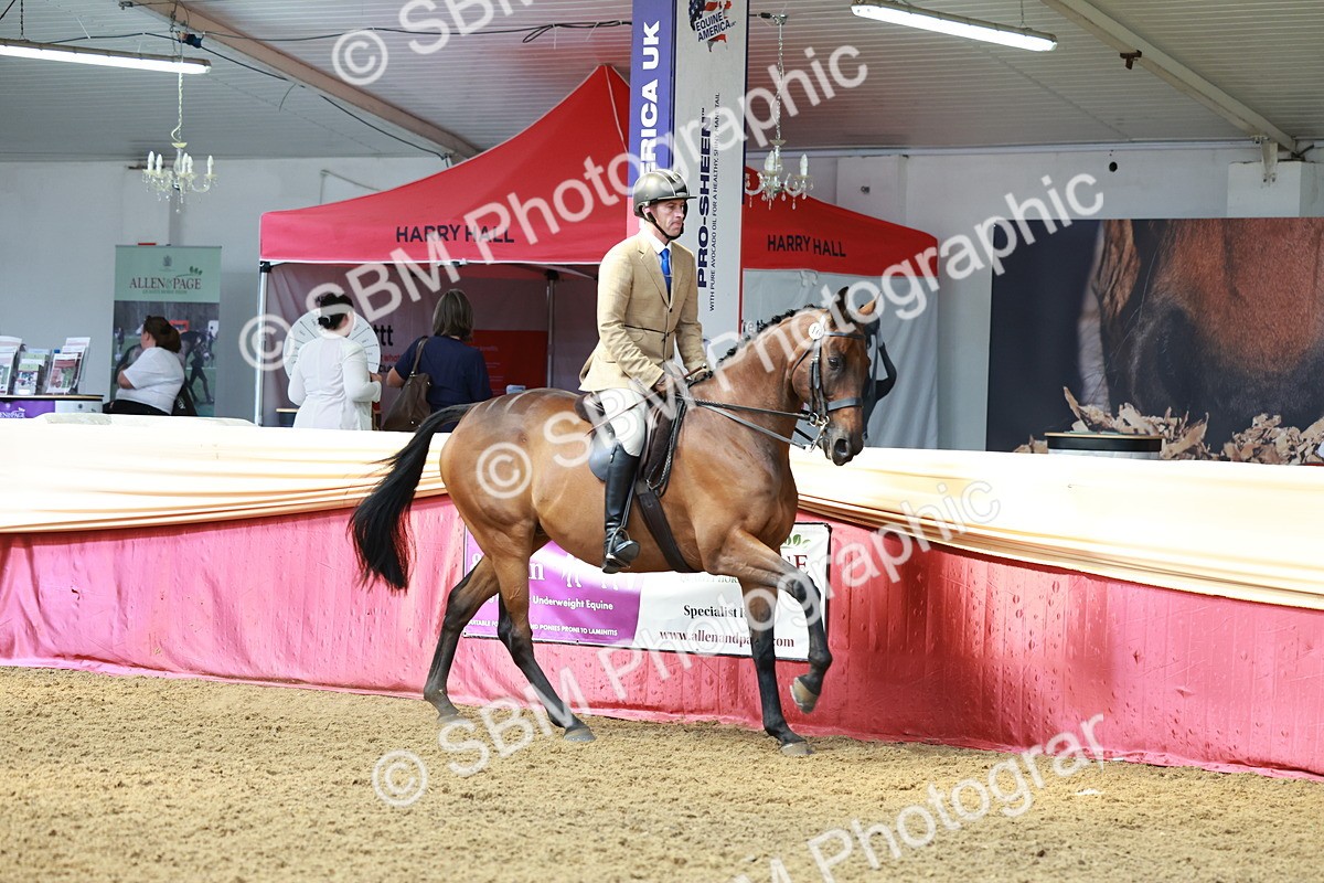 SBM_14890 - Class 108 - Ridden Retired Racehorse