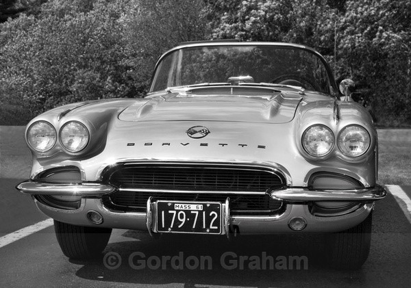 Stingray - Cars