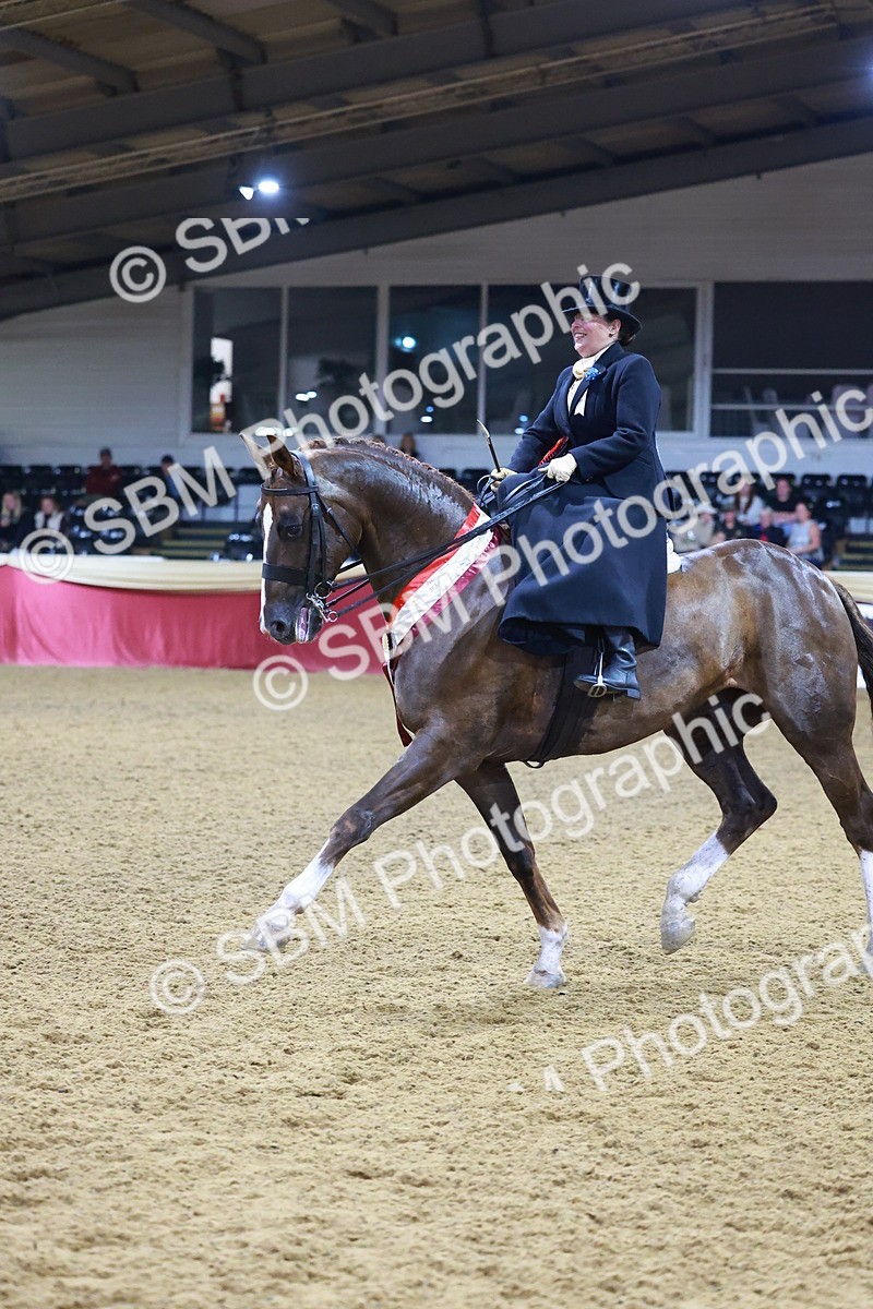 SBM_15474 - Class Q - Ridden Horse Champ