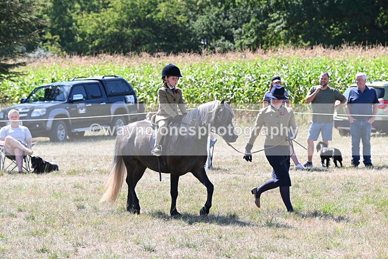 WJ6_7956 - Class 36 Lead Rein