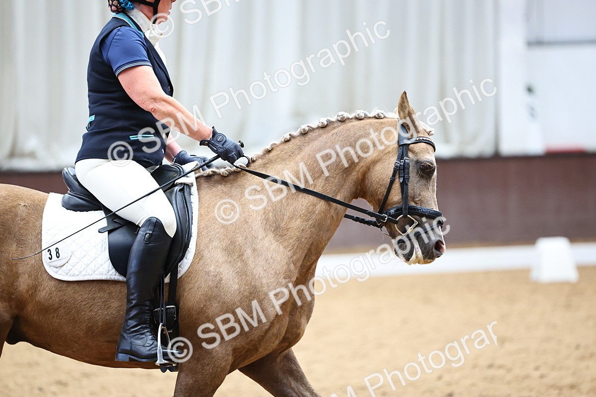 SBM_005561 - Elementary 2