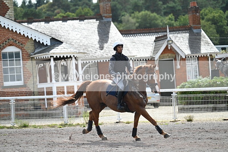 WJ7_1437 - Time 12:34 to 13:16