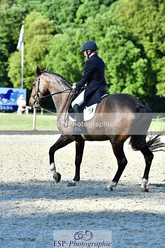 230623-183102-03272 - Cls 11 FEI PSG