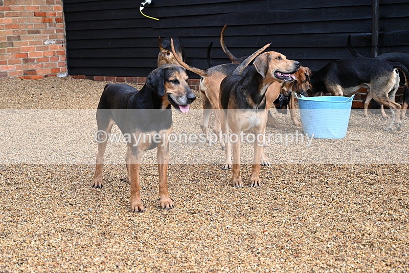 WJ7_6995 - Berks & Bucks at Blandy’s Farm 31-08-25