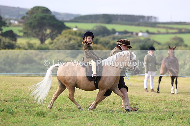 3E7A3447 - Class 2: Lead rein