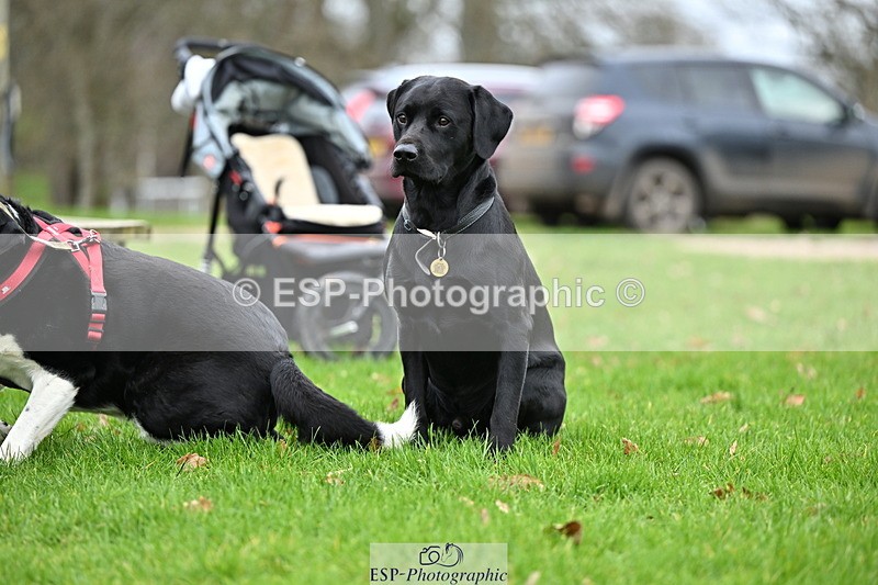 250201A-105836-00308 - Cls 02 Local Horse 100cm