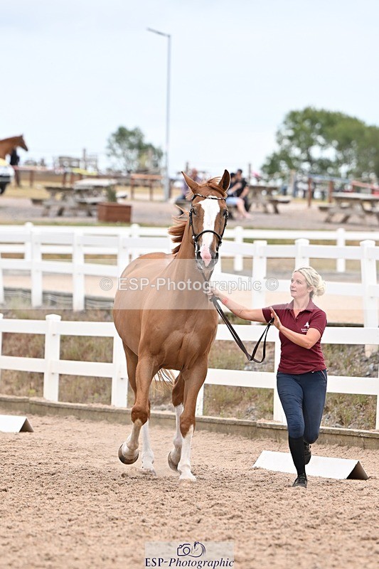 250716-160310-02369 - Trot Up 3.30 to 4.30