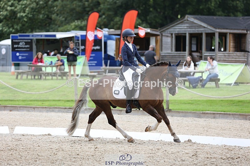 230812-120242-03916 - Cls 5 Novice Bronze 11.15 to 12.50 break