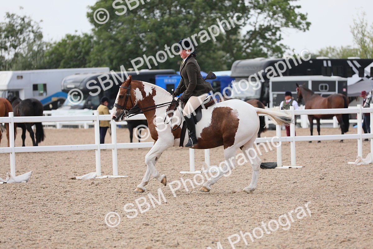 SBM_13397 - Class 308 Ridden Coloured Horse