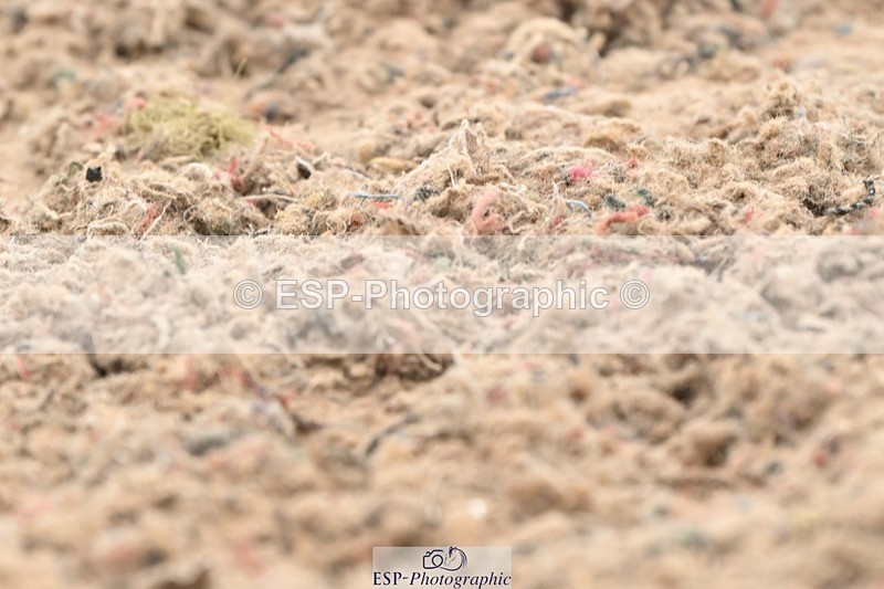 250705-101927-00922 - Intro3 Sections BDI3SEN, BDI3JNR 09.30 to 10.36