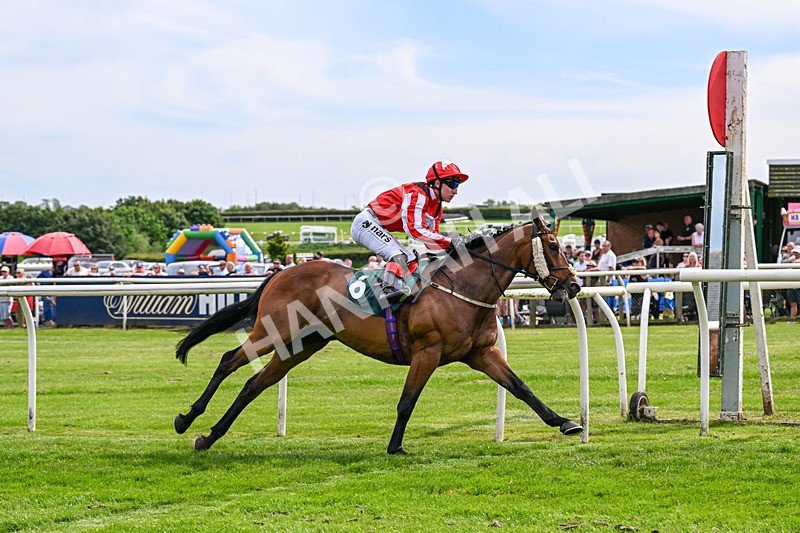 300526-Race 5-Holbache-0696 - Race 5 16.12pm Ann Whitehouse Memorial Veterans' Handicap