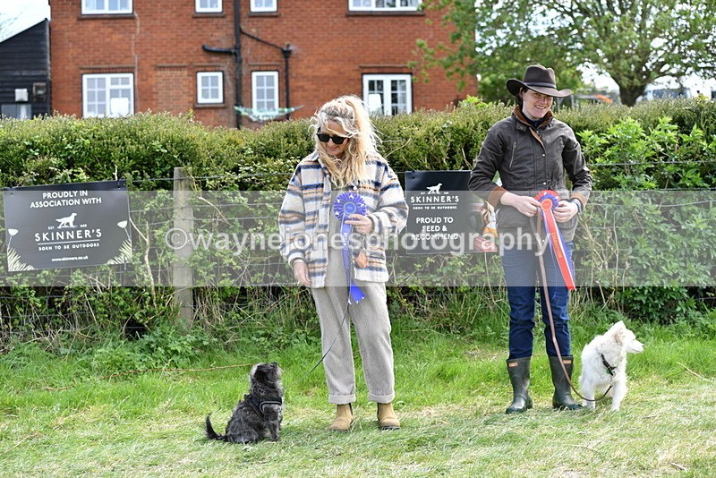 WJ5_0865 - Best in Show Championship