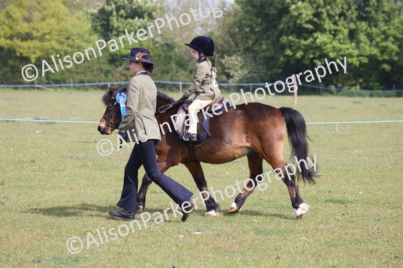 20260426-0547 - Class 30 - Tiny Tots Lead Rein