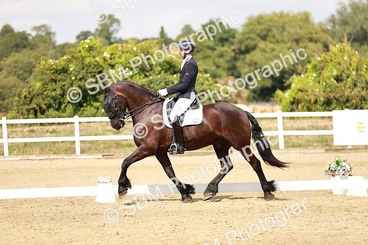 SBM_004156 - Class 7 - Advanced Medium 6 Gold - 14.52-16.00